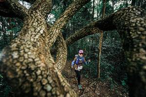 BIB: 
                            <button type="button" onclick="openModal(25393298)" class="btn btn-primary btn-sm float-right btn-popup" data-toggle="modal" data-target=".modal-high-quality">
                        <i class="fas fa-shopping-cart"></i> Add to Cart
                    </button>
                                            <button type="button" onclick="isThisMe(25393298, true)" class="btn btn-success btn-sm float-right btn-popup btn-isme hidden" data-toggle="tooltip" data-placement="bottom" title="นี่คือรูปของคุณใช่ไหม คลิกที่นี่เพื่อเอาเข้าอัลบั้ม">
                        <i class="fas fa-plus"></i> Add to album
                    </button>
                    <button type="button" onclick="isThisMe(25393298, false)" class="btn btn-warning btn-sm float-right btn-popup btn-isnotme hidden">
                        <i class="fas fa-ban"></i> Remove from album
                    </button>